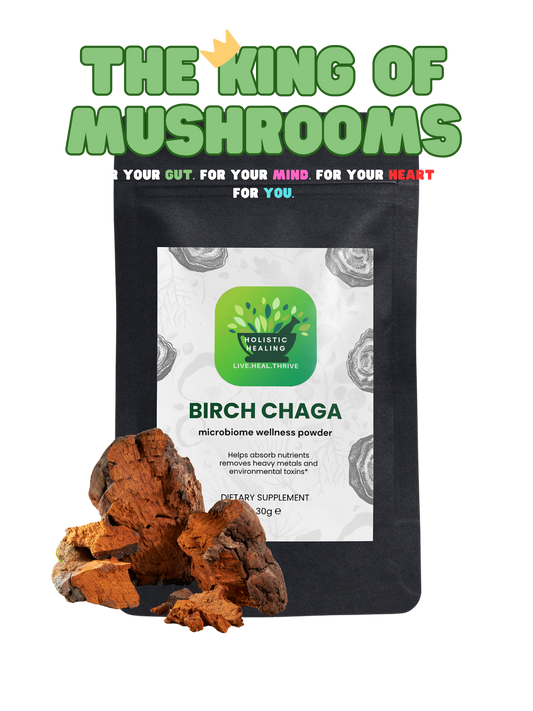 Birch Chaga Microbiome Wellness Powder